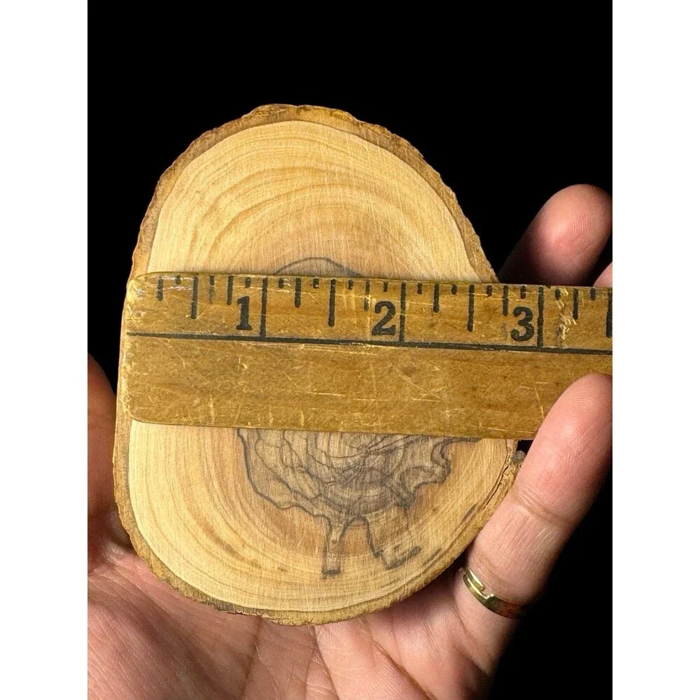 NEW Hand Carved Olivewood Bethlehem Nativity Scene from The Holy Land 3.5”